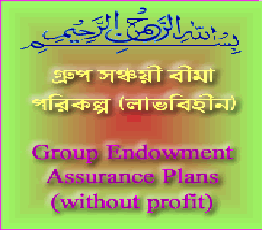 Product image cap