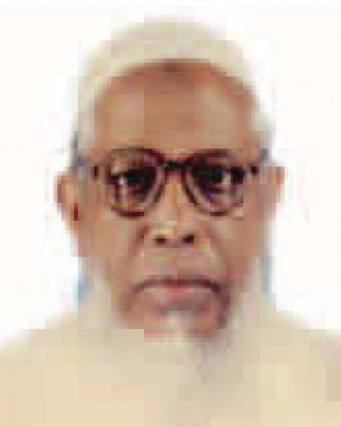 Professor A K M Shamsul Alam